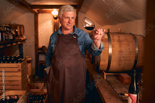 Konstfotografi Male winemaker in apron holding glass of red wine