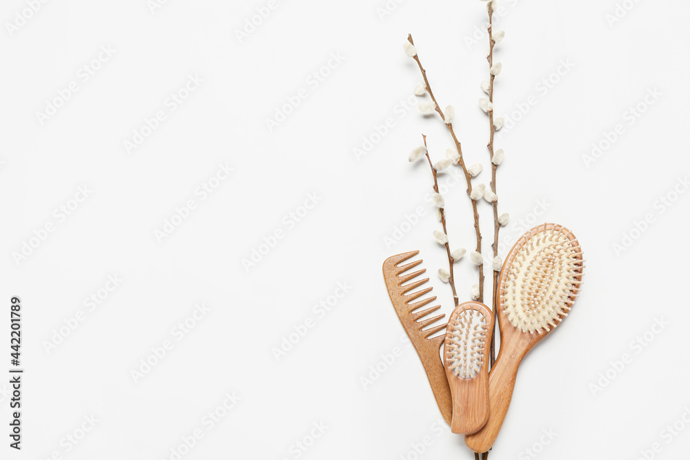 Hair brushes, comb and willow branches on color background - obrazy, fototapety, plakaty 