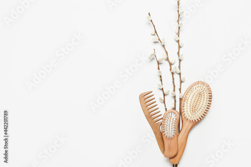 Hair brushes, comb and willow branches on color background