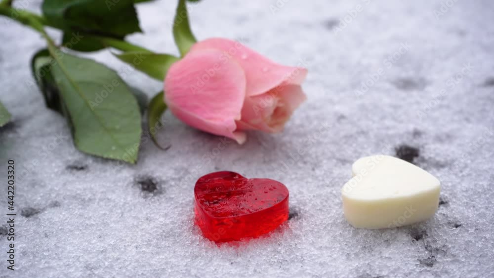 Valentines day love, pink rose heart shaped sweets on snow, winter day close up Valentines day love, pink rose heart shaped sweets on snow, winter day close up