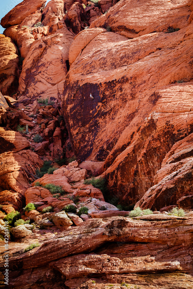 red rock canyon red rock canyon
