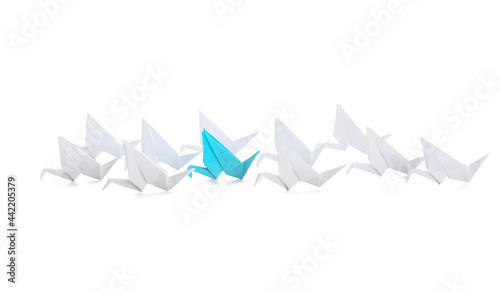 Origami birds on white background. Concept of uniqueness