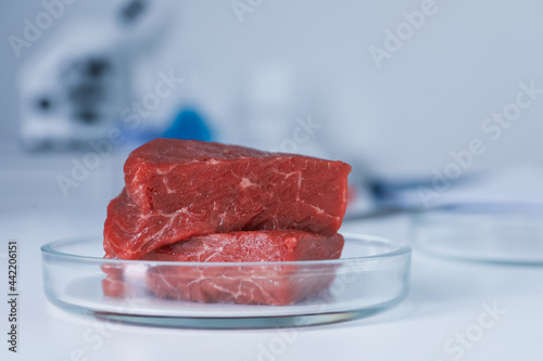 Petri dish with pieces of raw cultured meat on white table in laboratory, closeup. Space for text