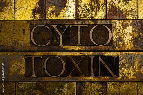 Cytotoxin text on vintage textured grunge copper and gold background photo