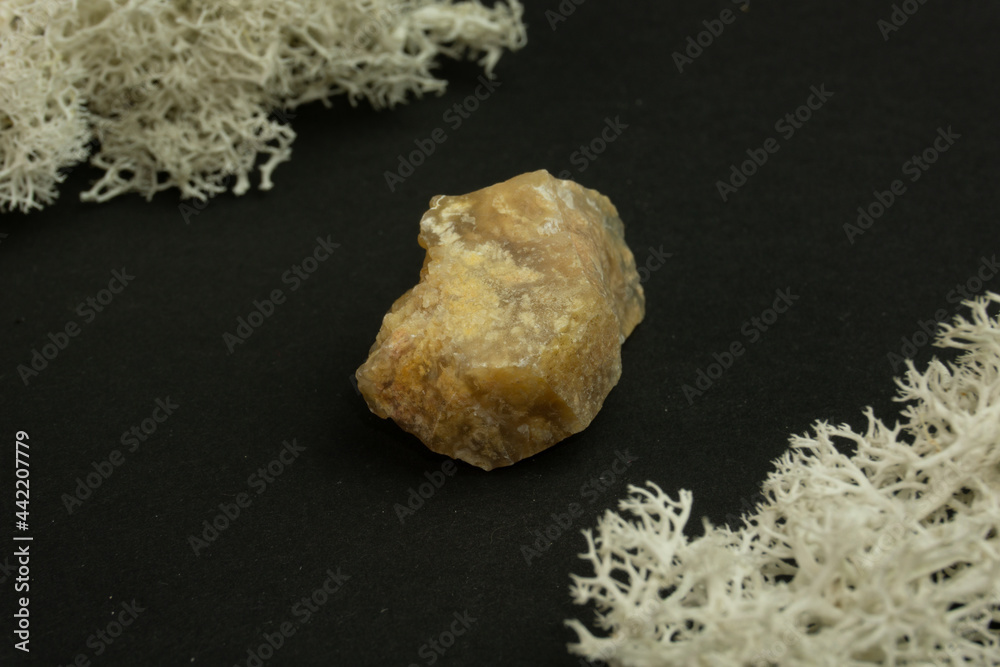 Obraz premium Chalcedony from Madagascar. Natural mineral stone on a black background surrounded by moss. Mineralogy, geology, magic, semi-precious stones and samples of minerals. Close-up macro photo