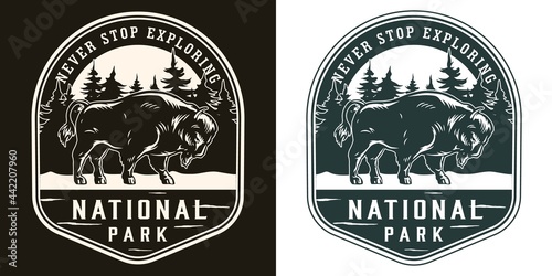 National park vintage logotype