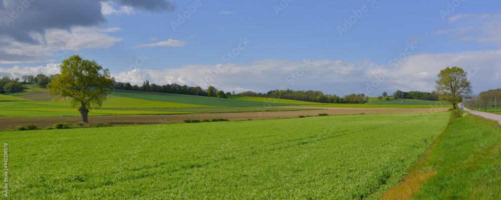 Panoramique paysage de campagne aux champs verdoyants dans le département de l'Allier en région Auvergne-Rhône-Alpes, France