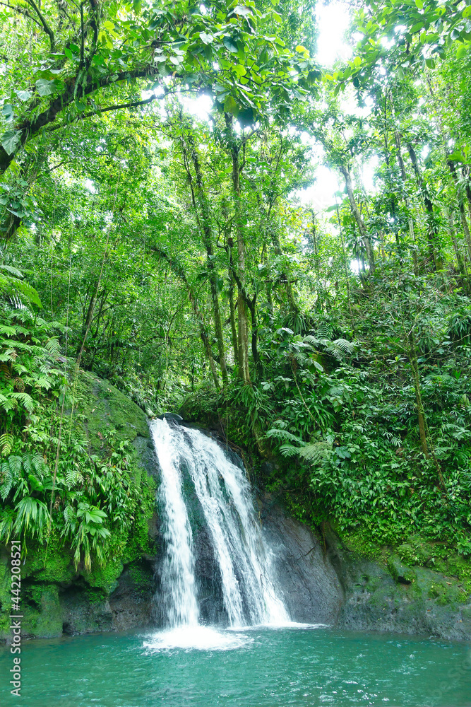 Crayfish Waterfall or La Cascade aux Ecrevisses, at the National Park of the french caribbean island Guadeloupe, West Indies. Crayfish Waterfall or La Cascade aux Ecrevisses, at the National Park of the french caribbean island Guadeloupe, West Indies.