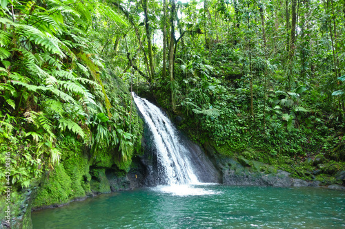 Tablou canvas Crayfish Waterfall or La Cascade aux Ecrevisses, at the National Park of the french caribbean island Guadeloupe, West Indies