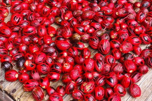 Fresh nutmegs in red mace on sale at a spice market stall at St George's on the caribbean island of Grenada photo