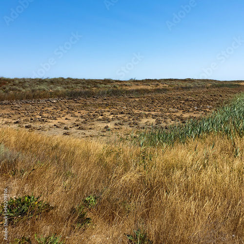 Absheron National Park created to preserve gazelles, Caspian seals and waterfowl living in this territory