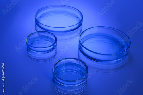 Petri dishes with liquid on table, toned in blue