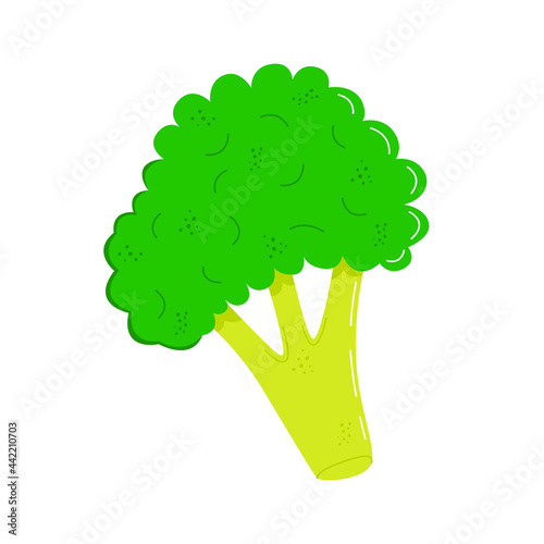 Flat vector cartoon illustration of broccoli isolated on a white background.