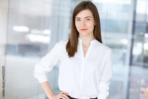 Free Download Beautiful female specialist with dark hair standing in modern office and smiling charmingly. Working on design, data analysis, plan strategy. Business people concept - GFXLoad