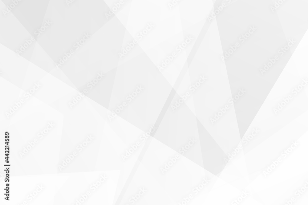 Fototapeta premium Abstract white and grey on light silver background modern design. Vector illustration EPS 10.
