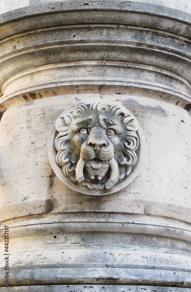 detail of lion on the door of the cathedral