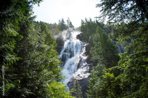 waterfall in the forest outdoor nature scenic landscape