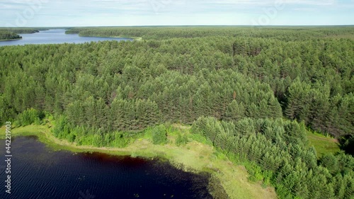 Flight over the taiga forest lake