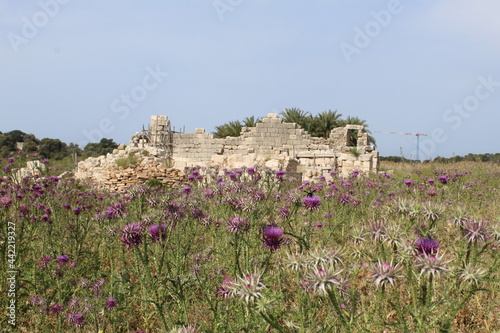 Lycian Way_Turkey