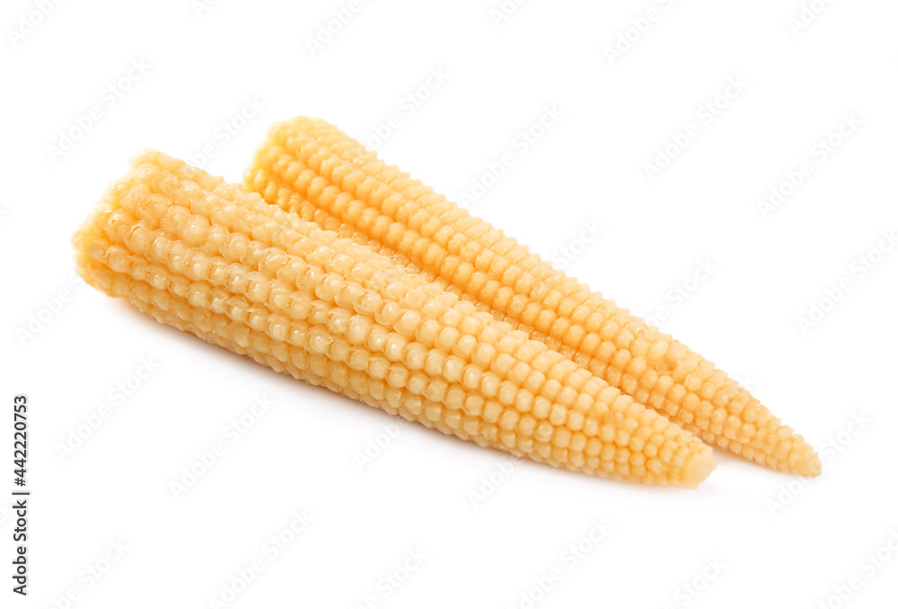 Fresh baby corn cobs on white background Fresh baby corn cobs on white background