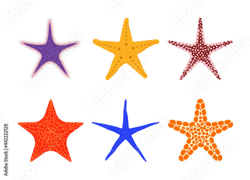 Starfishes of different shapes and colors set. Vector elements for design isolated on white background.