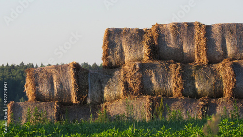 Valokuva Assembled and packed haystacks for various industries