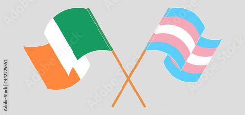 Crossed and waving flags of Ireland and transgender pride