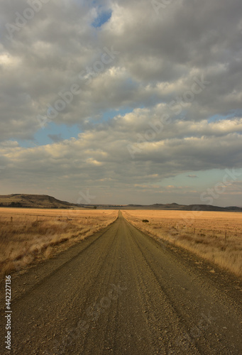 An endless gravel road stretching through the golden landscape of the Eastern Free State in South Africa