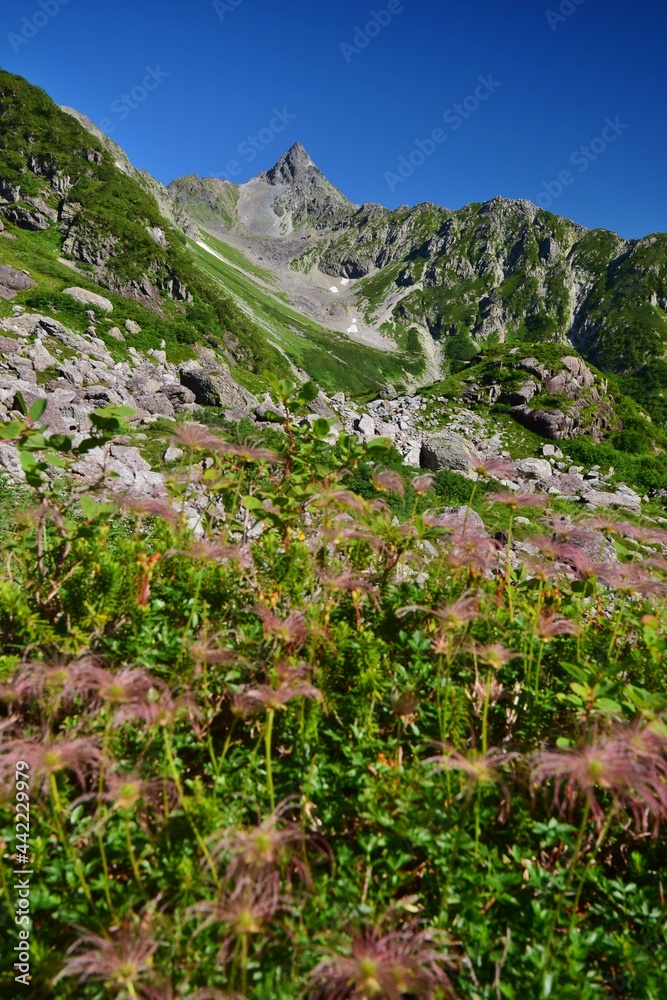 北アルプス 槍ヶ岳 夏景色 北アルプス 槍ヶ岳 夏景色