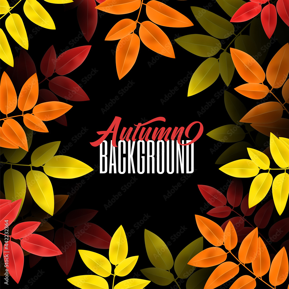 Autumn background. Vector illustration. Decorate with leaves for shopping sale or promo poster and frame leaflet or web banner.