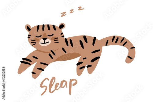 Cute sleeping tiger cub in a cartoon children's style. Vector illustration on a white background. Children's illustration.