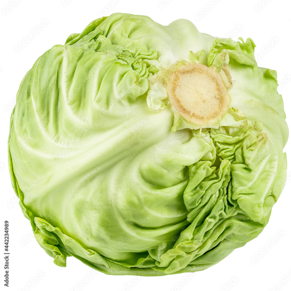 fresh young green cabbage isolated on white background. cabbage head cut out fresh young green cabbage isolated on white background. cabbage head cut out