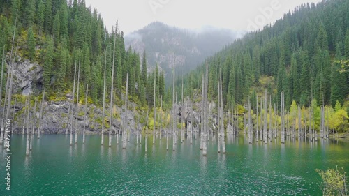Kaindy Lake with trees sticking out of the water. The lake contains trunks of submerged picea schrenkiana trees that rise above the surface of the lake. Rocks, green forest and grass growing. photo