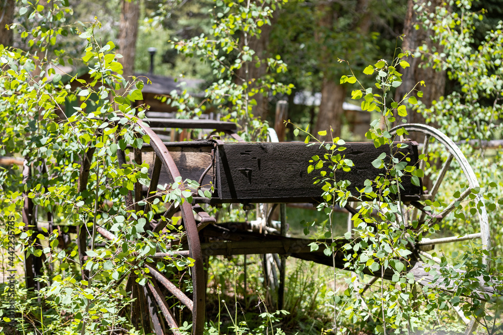 Naklejka premium Rustic Wagon