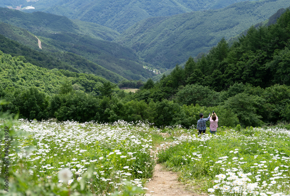 korean mounatin tour, taking selfie korean mounatin tour, taking selfie