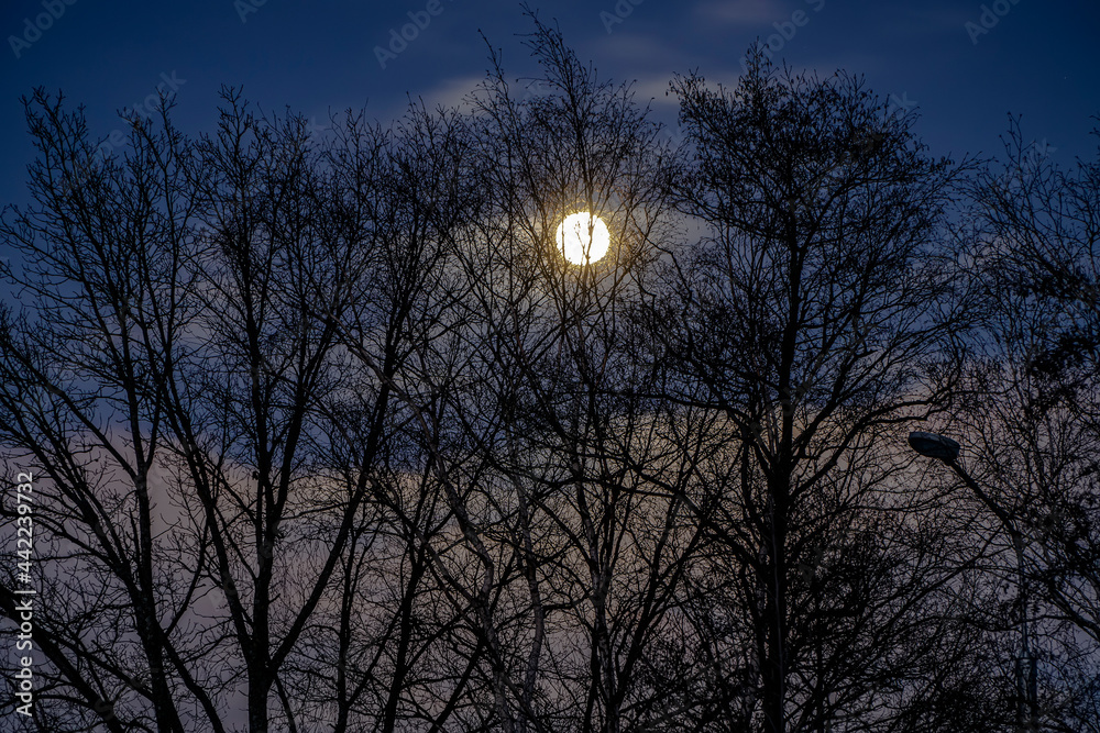 Making craft yeast-free bread in a home oven, on the baking stone