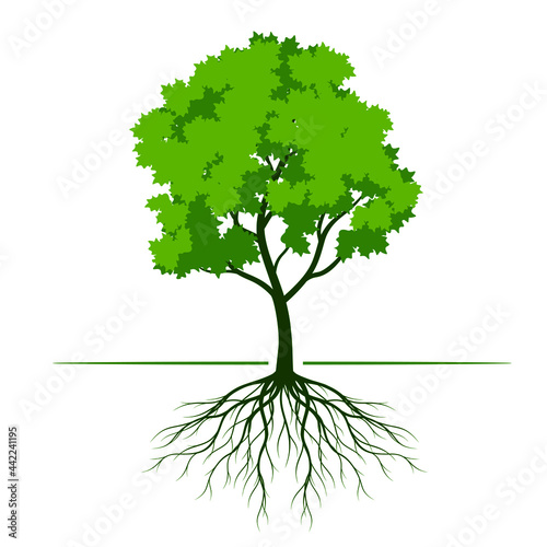 Green vector Tree on white background
