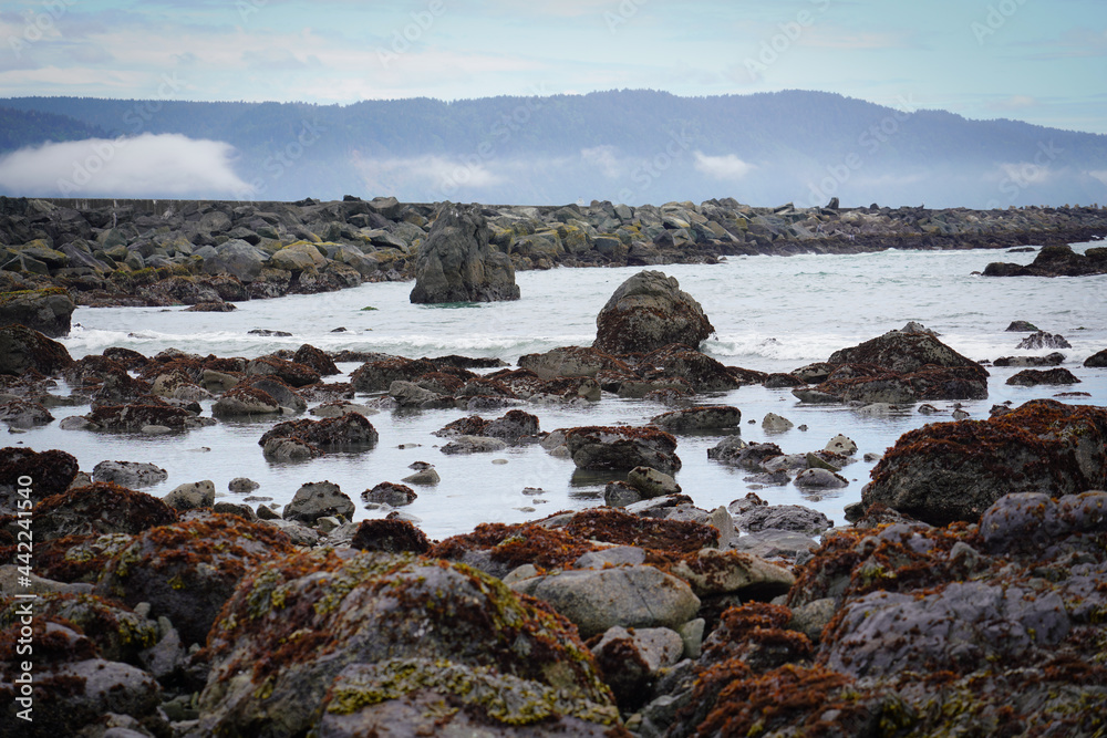 Coastal shoreline in Northern California with Rocks