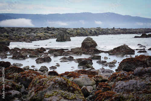 Coastal shoreline in Northern California with Rocks