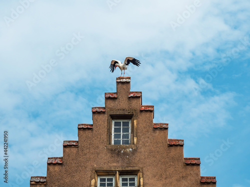 Medieval city of Rouffach in Alsace. Fortifications, towers, cathedral, old town. photo