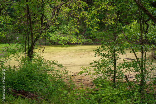 Fototapeta Naklejka Na Ścianę i Meble -  Hockhocking Adena Bikeway in the Athens Area