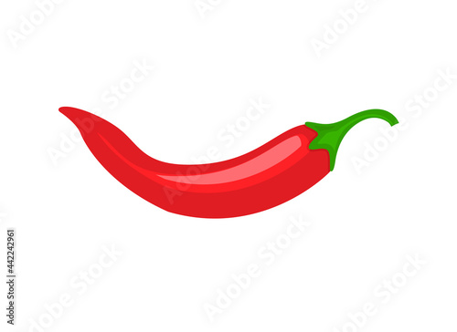 Red chili spicy pepper. Hot chili spice pepper vector icon illustration paprika cooking background