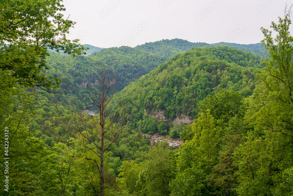 Gauley River National Recreation Area Stock Photo Adobe Stock