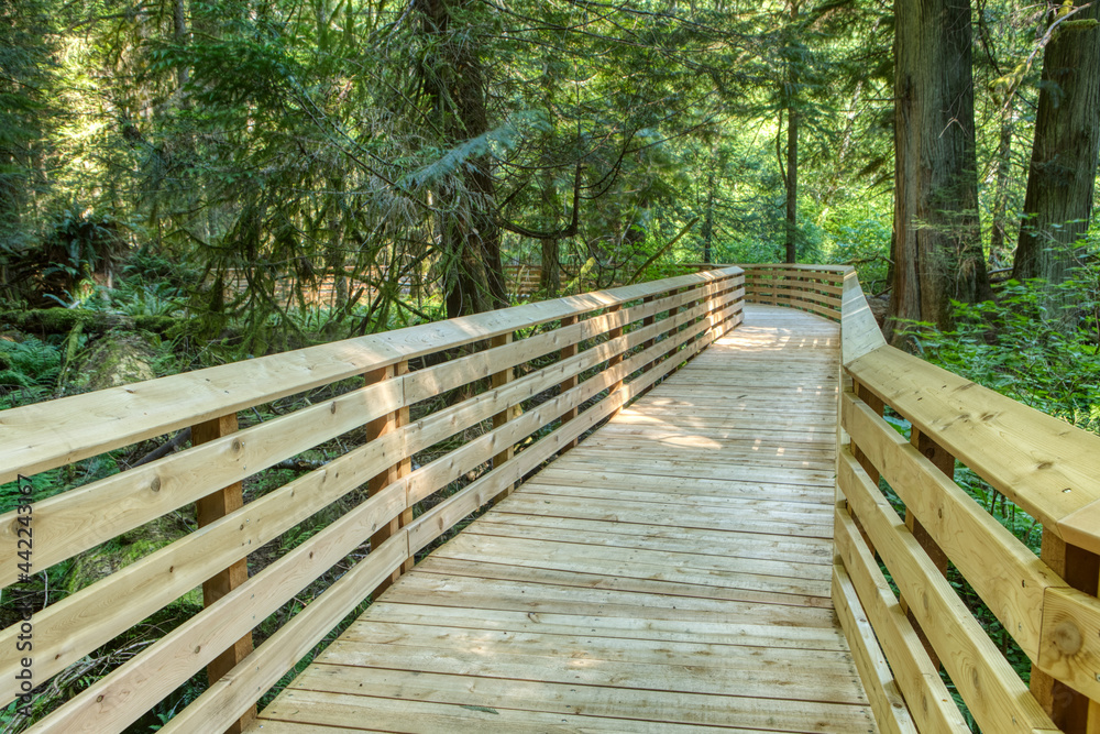 Fototapeta premium Wooden bridge structure under construction in the middle of an old forest