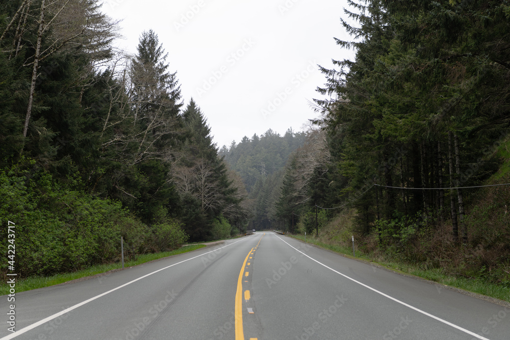 Empty highway road through forest trees in Oregon, USA Empty highway road through forest trees in Oregon, USA