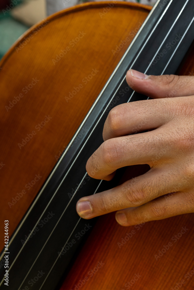 detail of a hand placed on the neck of a cello to play a musical note detail of a hand placed on the neck of a cello to play a musical note