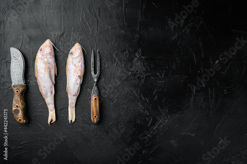Raw surmullet  whole seafood fish, with ingredients and herbs, on black dark stone table background, top view flat lay, with copy space for text photo