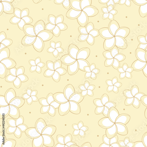 Elegant plumeria pastel flowers seamless pattern