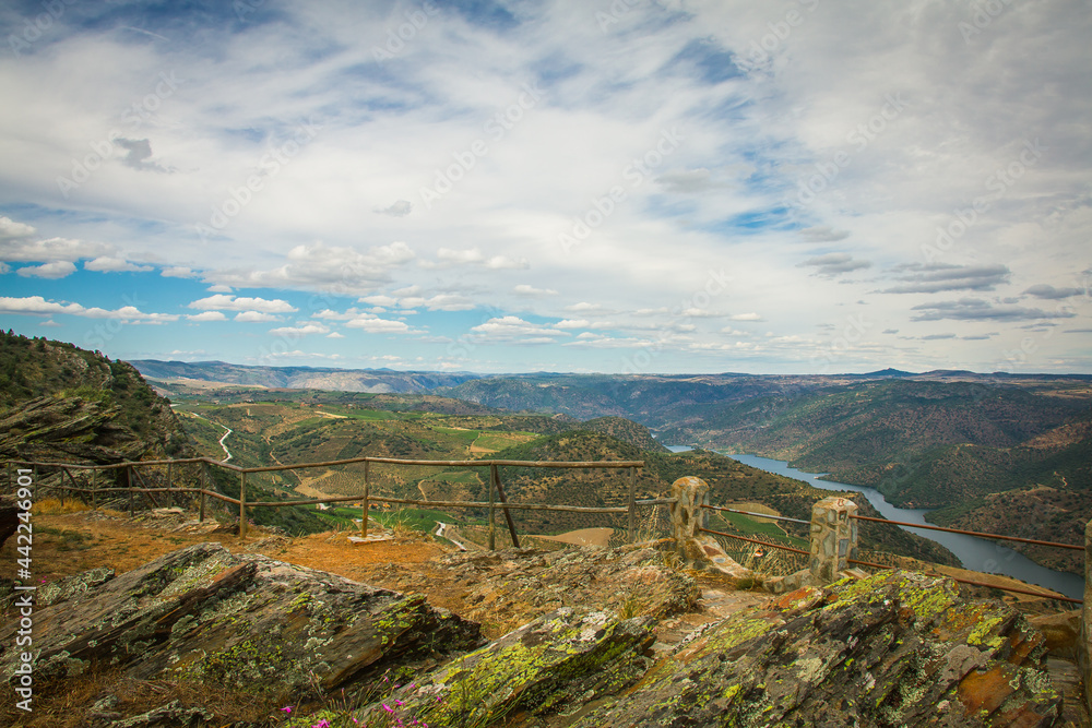 Obraz premium Beautiful mountain and river landscapes in the Douro Natural Park. Douro river - Portugal. Sightseeing place of Penedo Durao