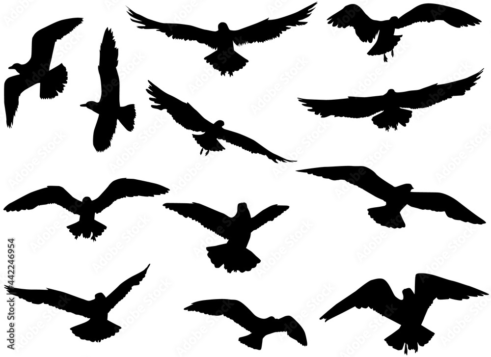 Flying birds silhouettes, concept illustration Flying birds silhouettes, concept illustration